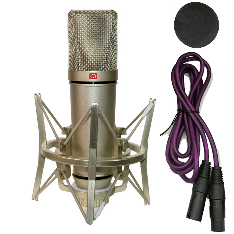 Micrófono condensador profesio - Shure Mic Sm58 reseña y precio